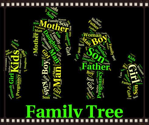 Alan Papernick family tree