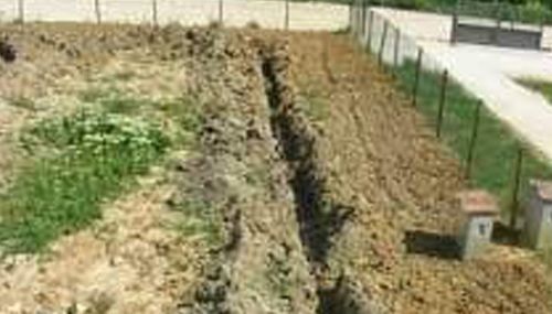 giardinaggio Giampaolo Cianti 6