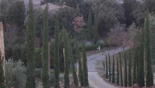 giardinaggio Giampaolo Cianti 8