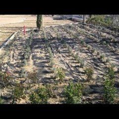 realizzazioni cianti giardinaggio 10