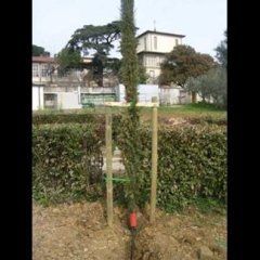 realizzazioni cianti giardinaggio 4