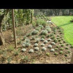 realizzazioni cianti giardinaggio 18