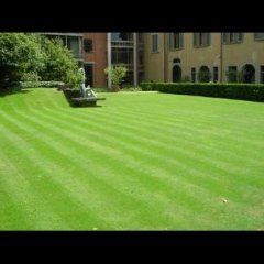 realizzazioni cianti giardinaggio 16