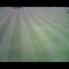 realizzazioni cianti giardinaggio 14