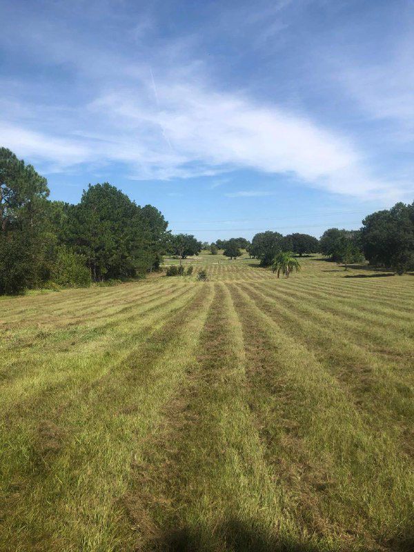 Storm Cleanup Services