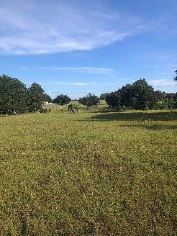 Land Clearing Contractor