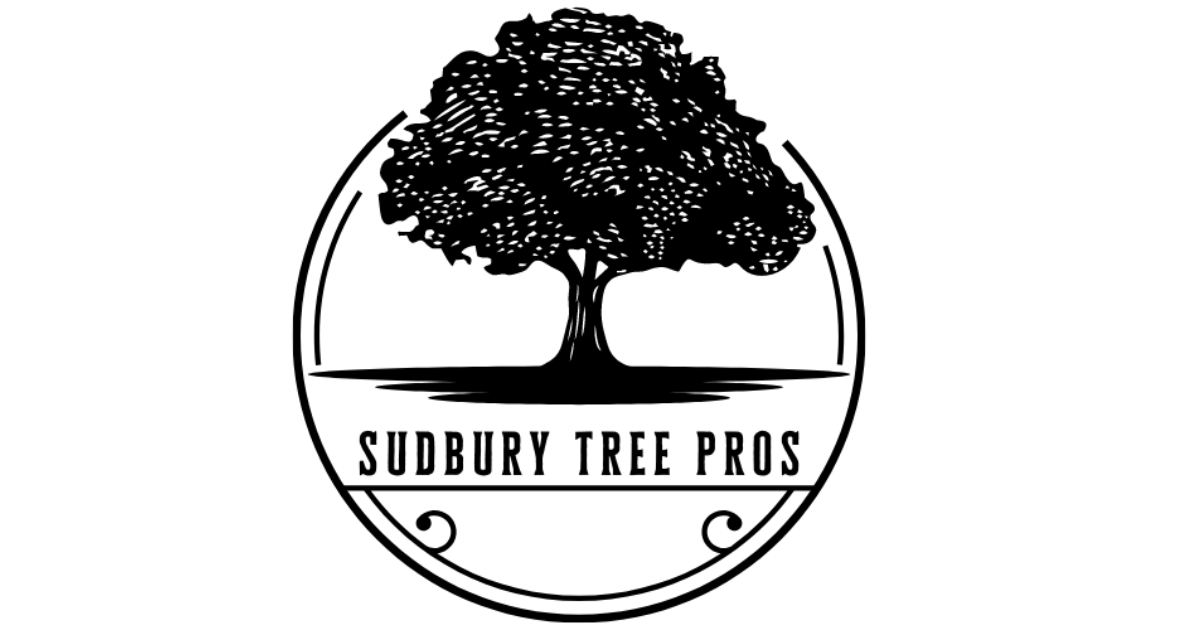 Sudbury+Tree+Pros+Sudbury+Ontario