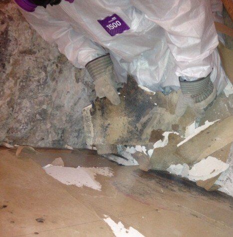 Removing of Hazard — Buffalo, NY — Great Lakes Abatement Co Inc.