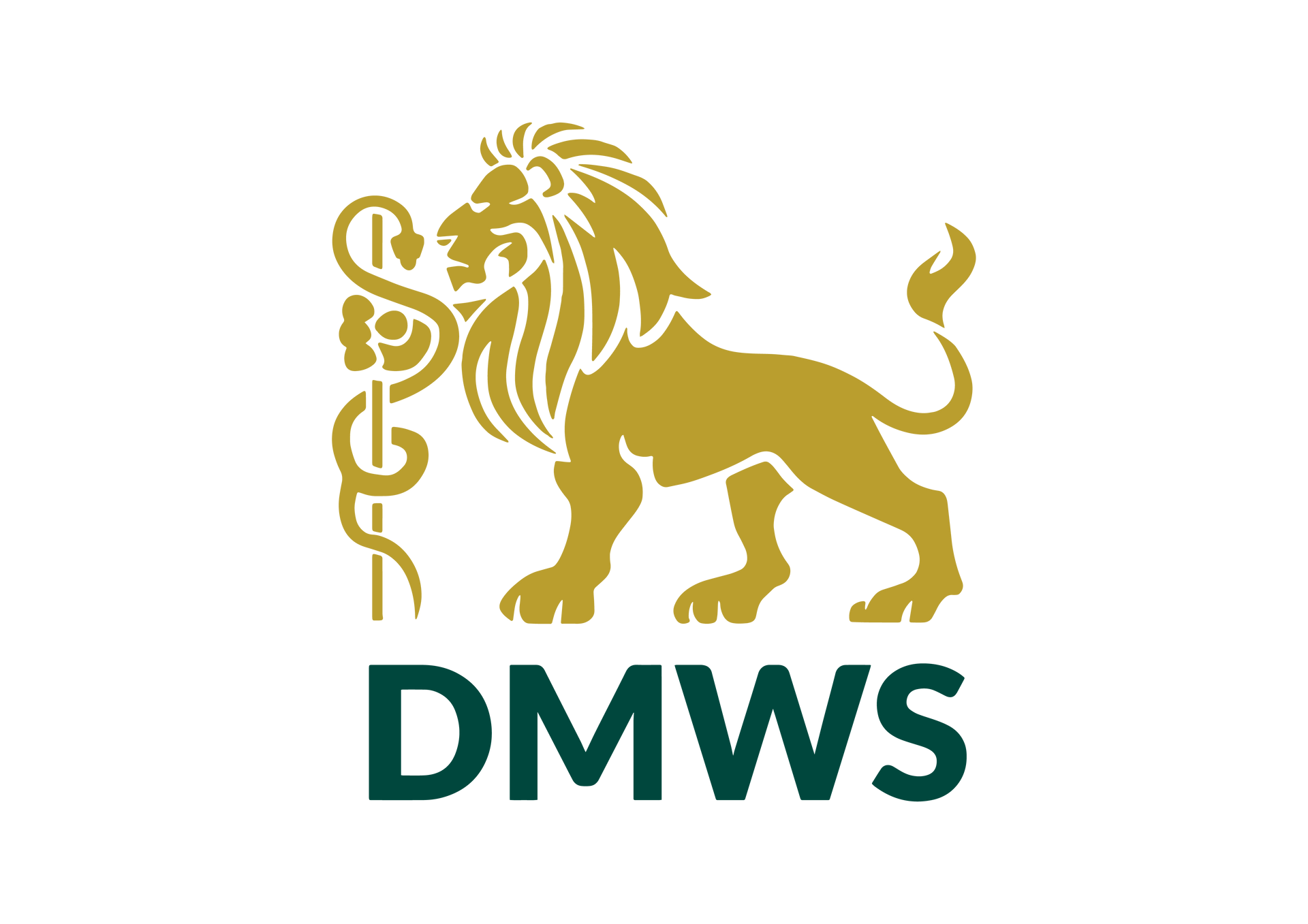 The logo for dmws shows a lion holding a medical symbol.