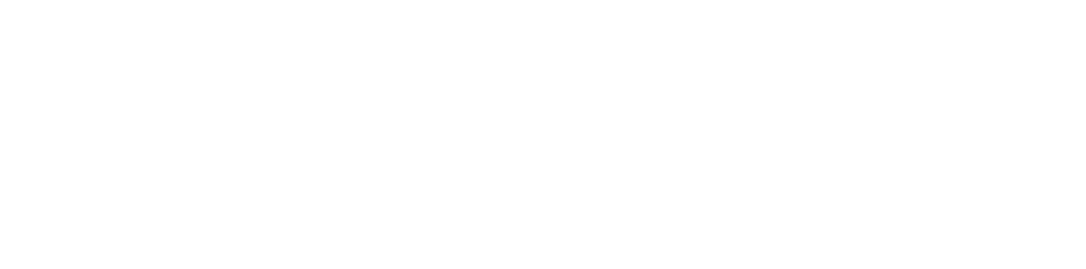 Newcastle council logo