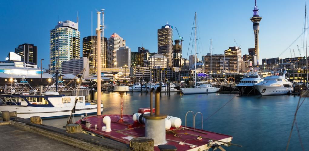 A harbor with boats and a city skyline in the background