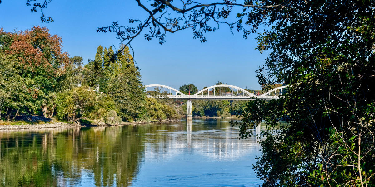 Bridge over river with trees on sunny day - Total Clean Waikato Commercial Cleaning Services