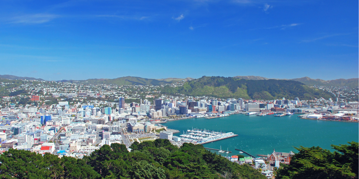 Aerial view of Wellington city with harbor - Total Clean Wellington Commercial Cleaning