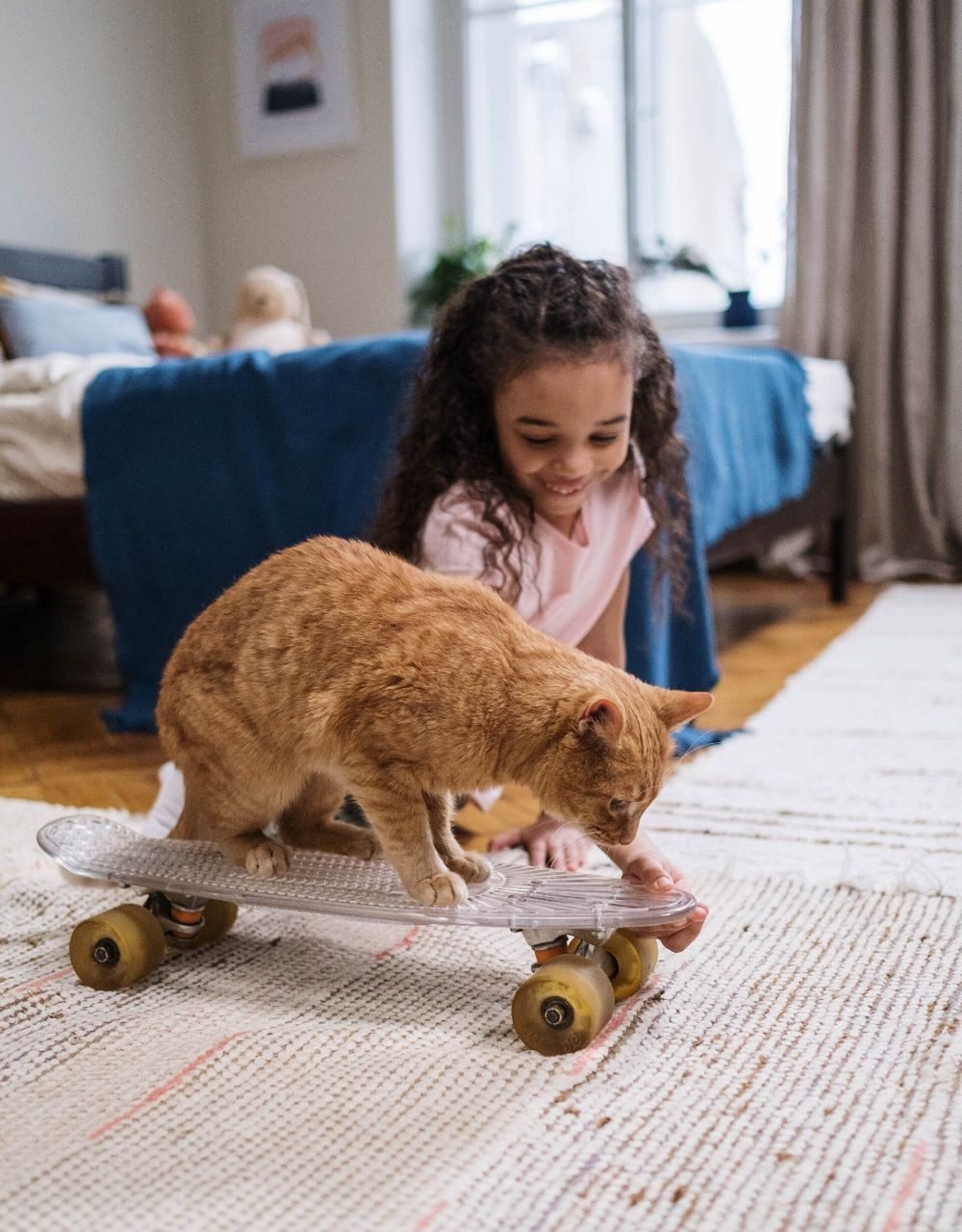 A little girl is playing with a cat on a skateboard.