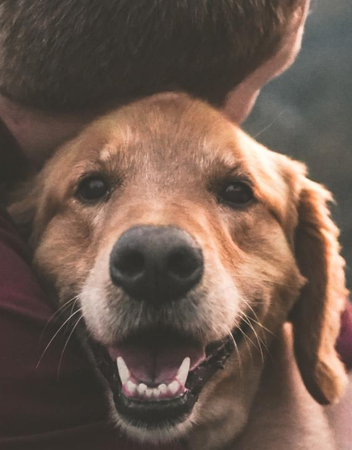 A man is hugging a brown dog with its mouth open.
