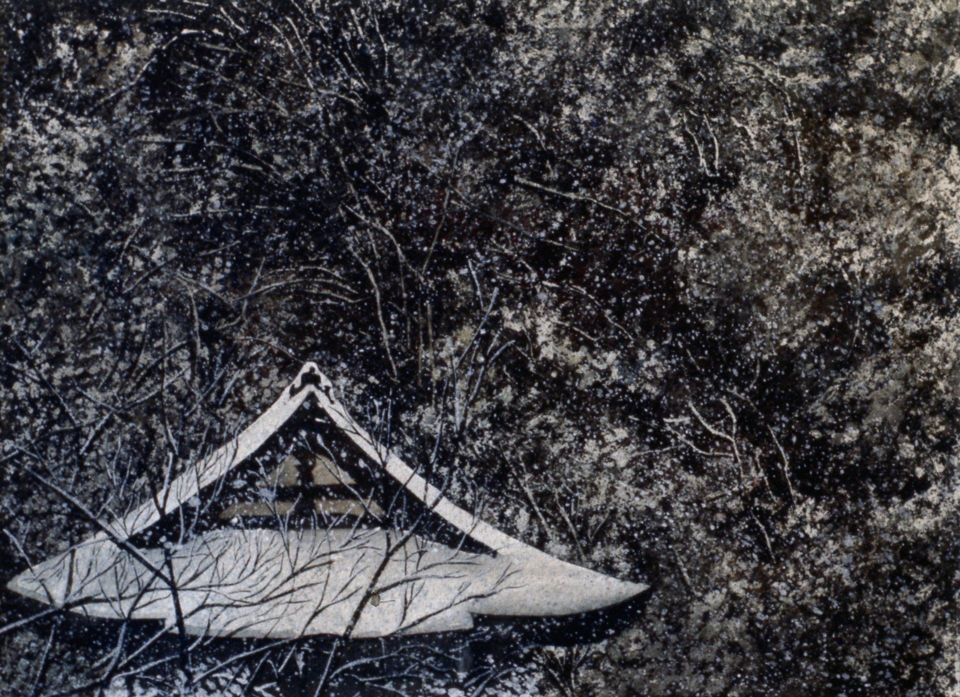 A black and white photo of a house in the woods