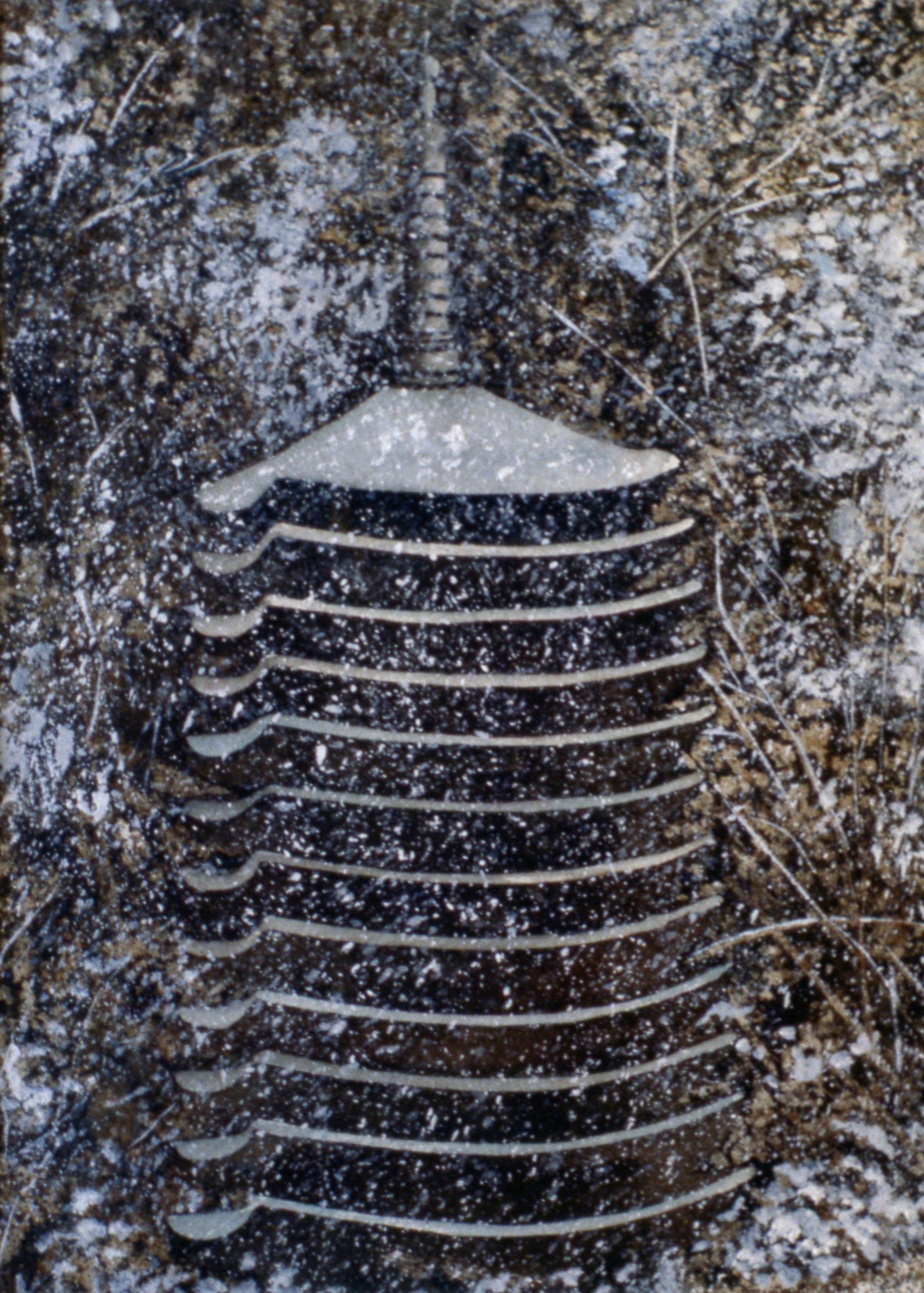 A black object is sitting on the ground in the snow.