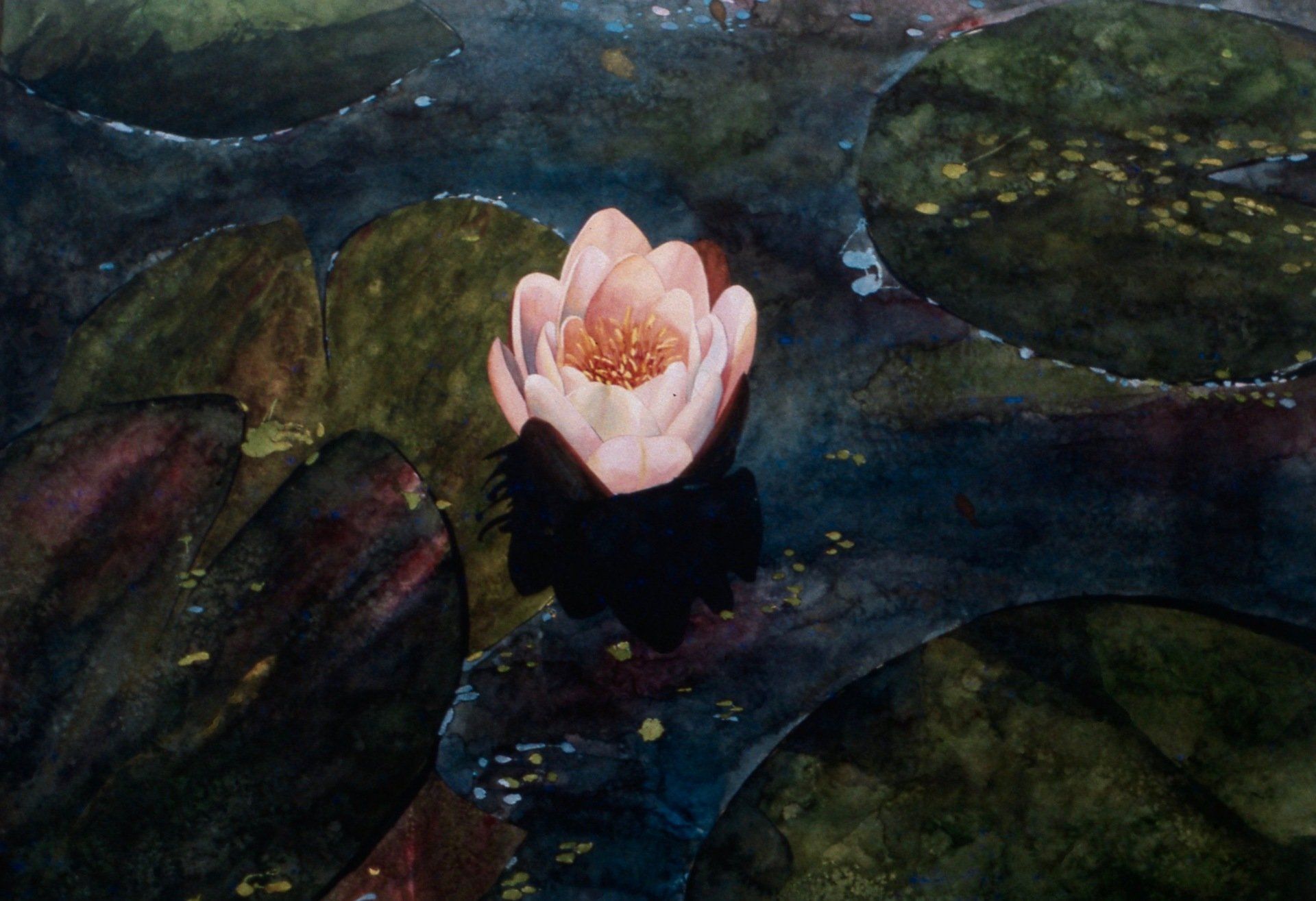 A painting of a pink flower in a pond