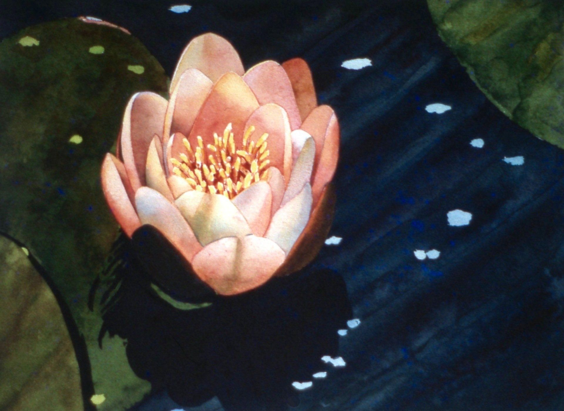 A painting of a pink water lily in a pond