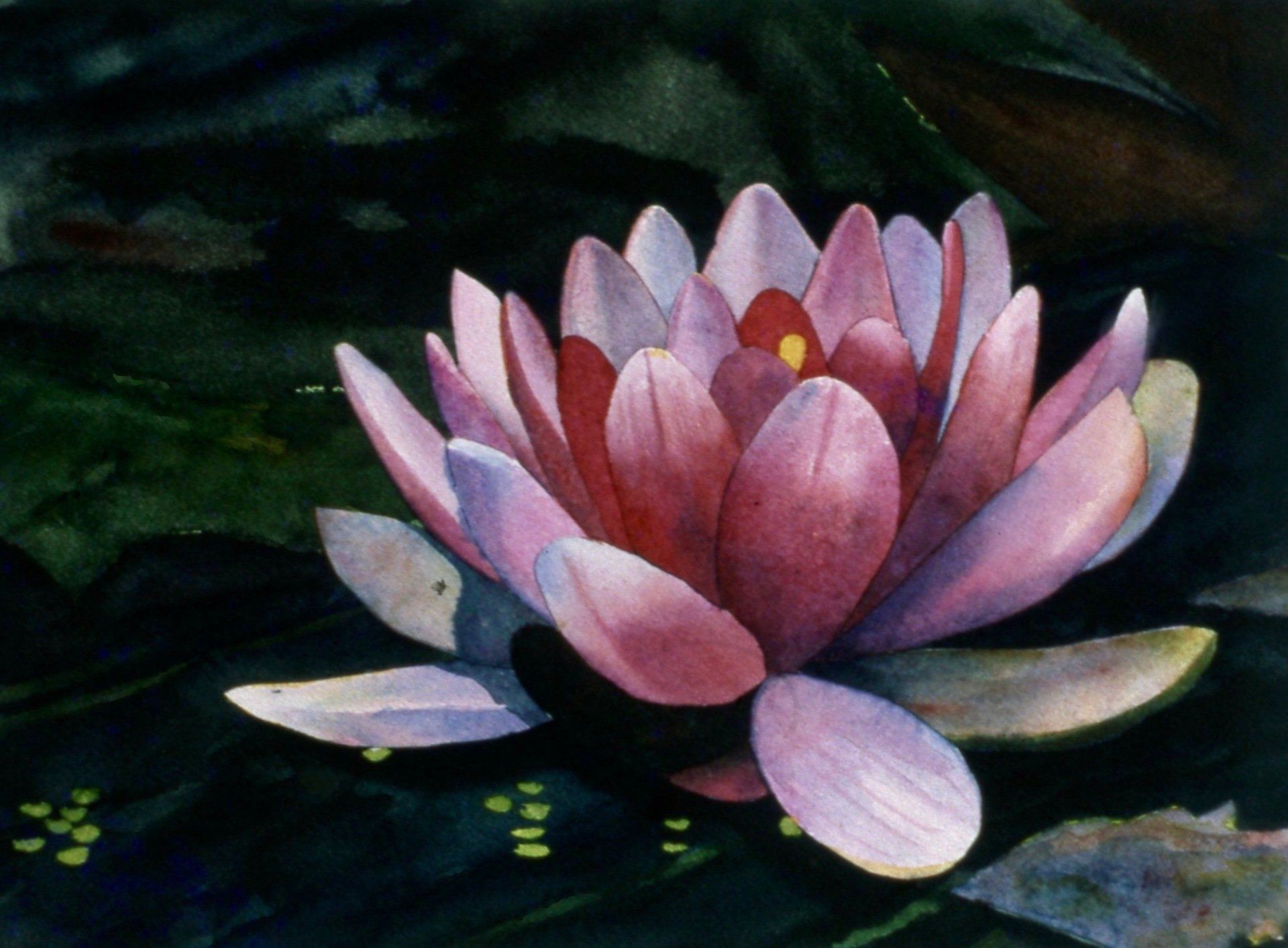 A watercolor painting of a pink lotus flower