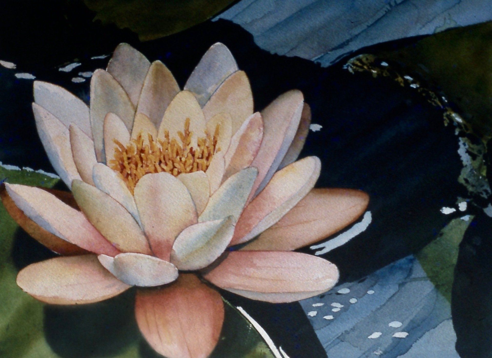 A painting of a lotus flower in a pond