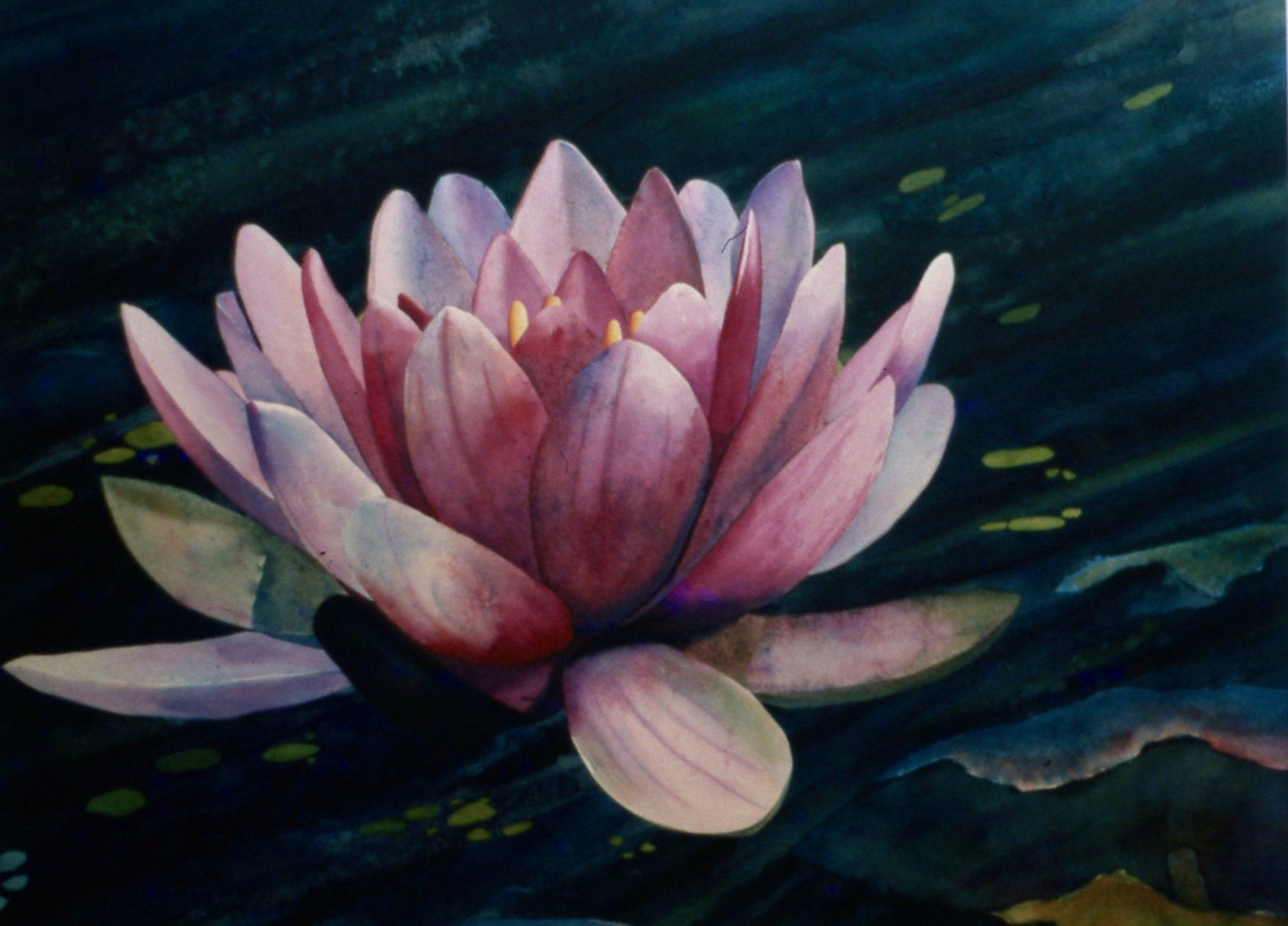 A painting of a pink lotus flower on a dark background