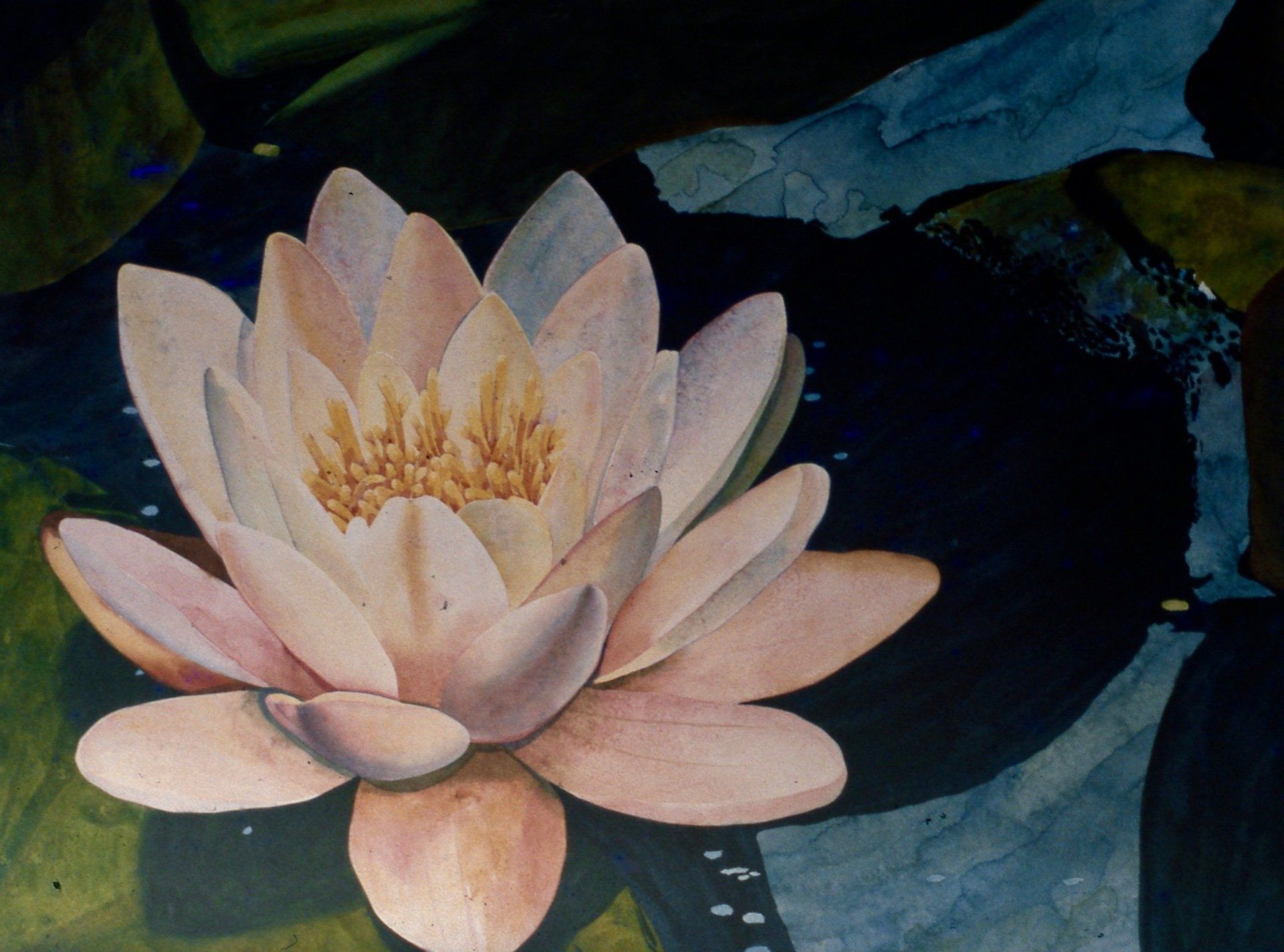 A painting of a lotus flower in a pond