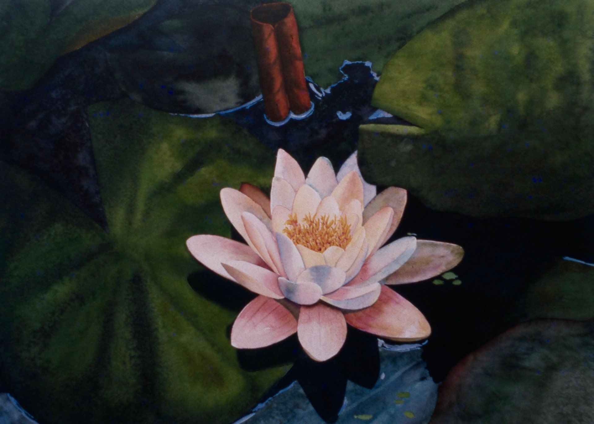 A painting of a pink water lily in a pond
