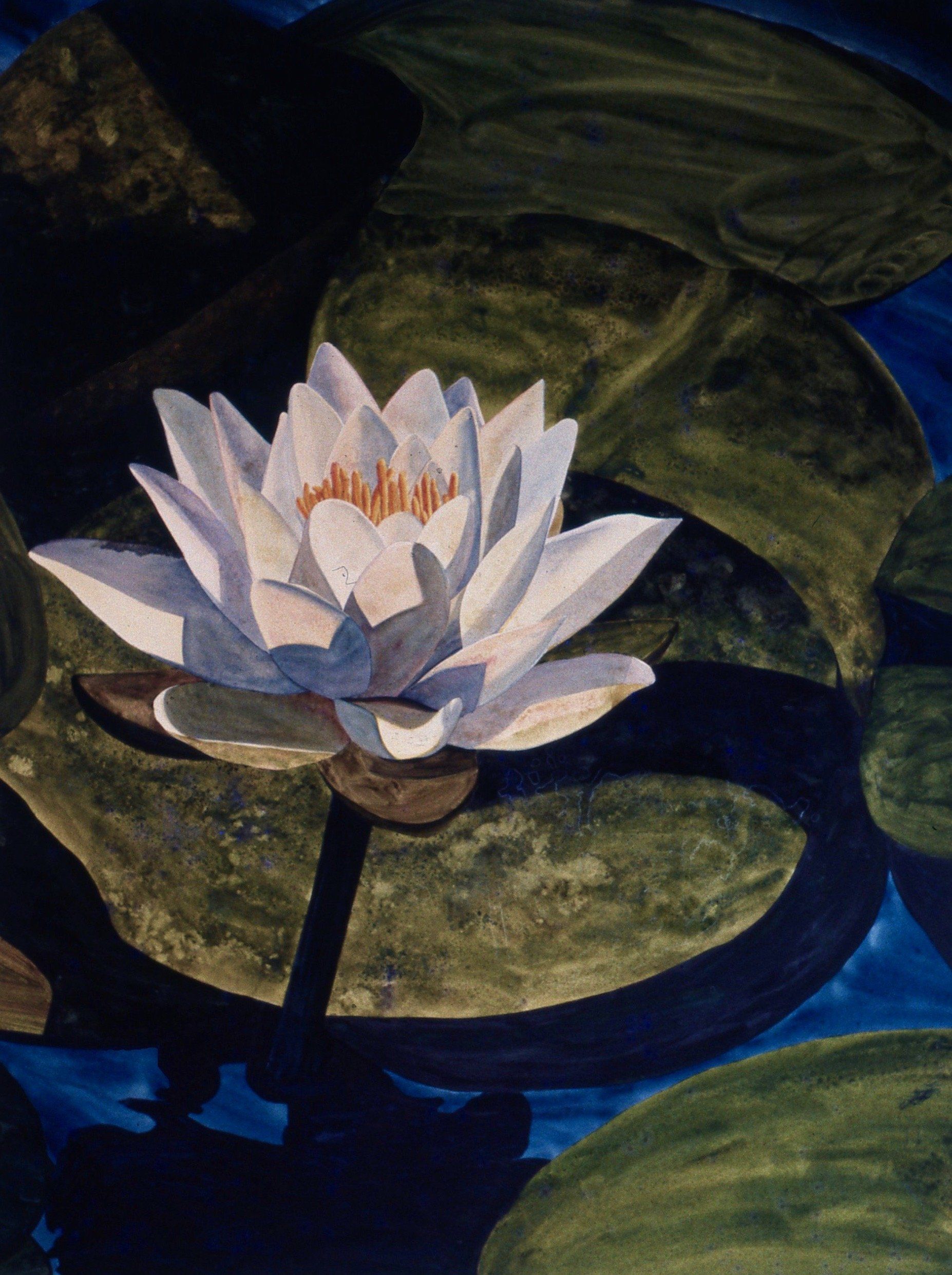 A painting of a white water lily in a pond