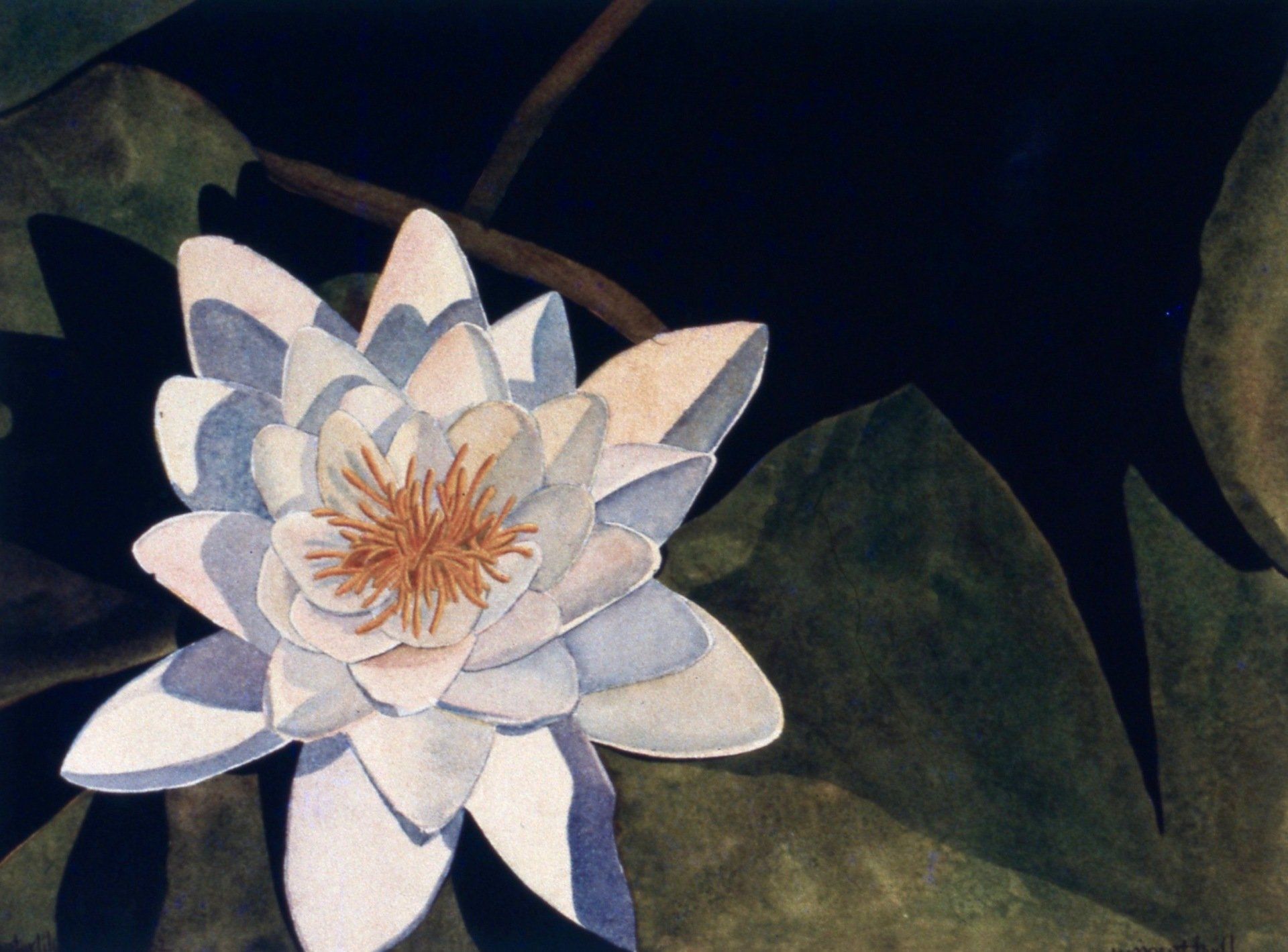 A painting of a white flower with a yellow center