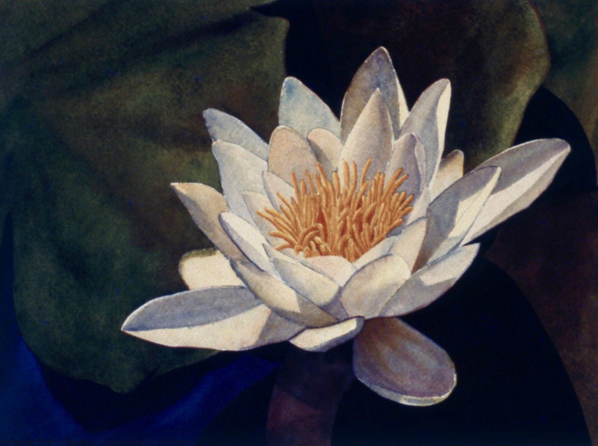 A painting of a white flower with a yellow center