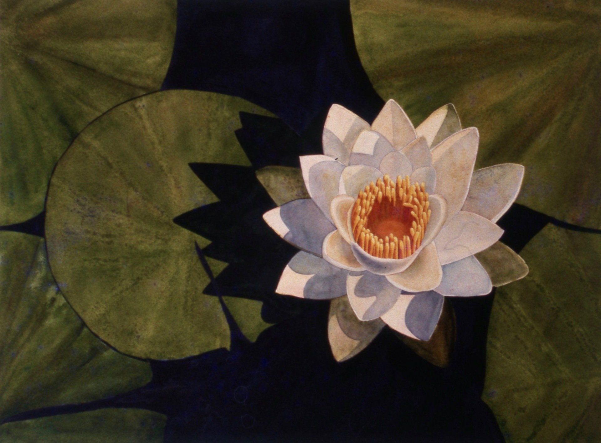 A painting of a white water lily surrounded by lily pads