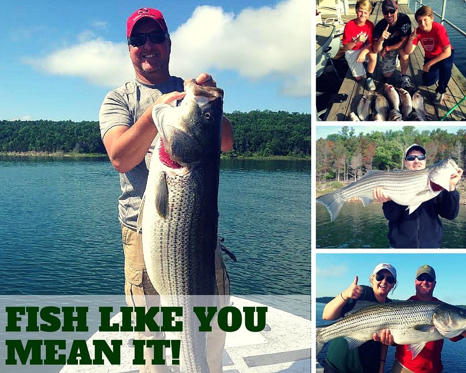 lake norfork fishing guide collage