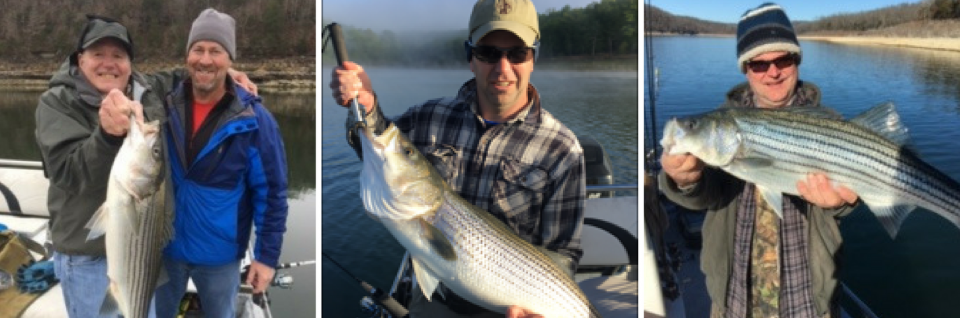 lake norfork fishing collage