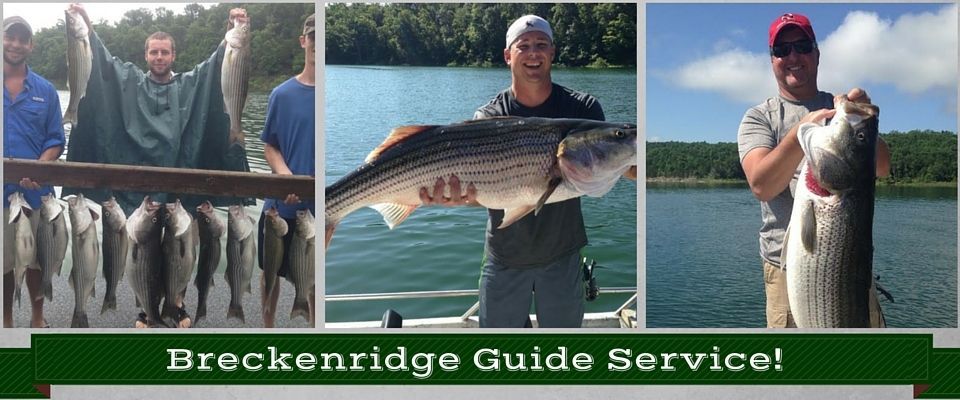 breckenridge guide service