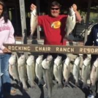 lake norfork fishing guide