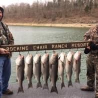 lake norfork guided fishing trip