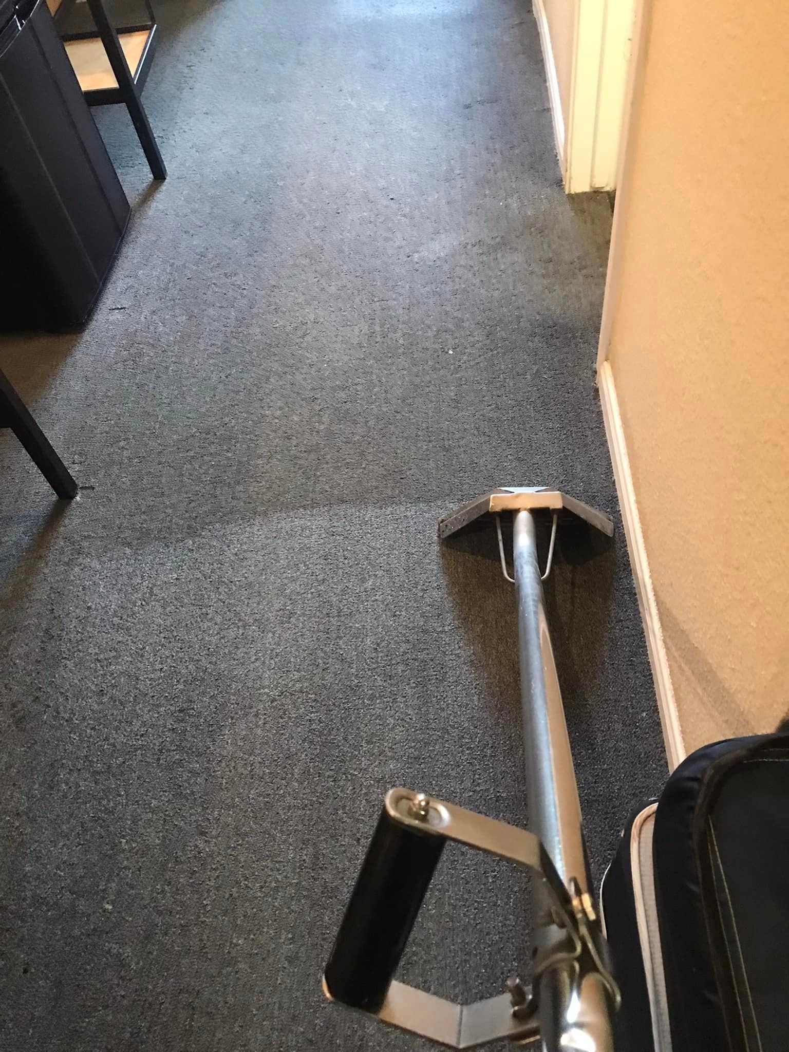 A person is standing on a carpeted hallway next to a suitcase.