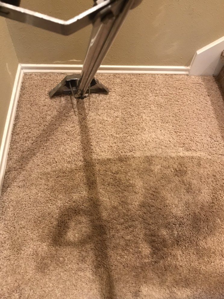 A vacuum cleaner is cleaning a carpet in a room.