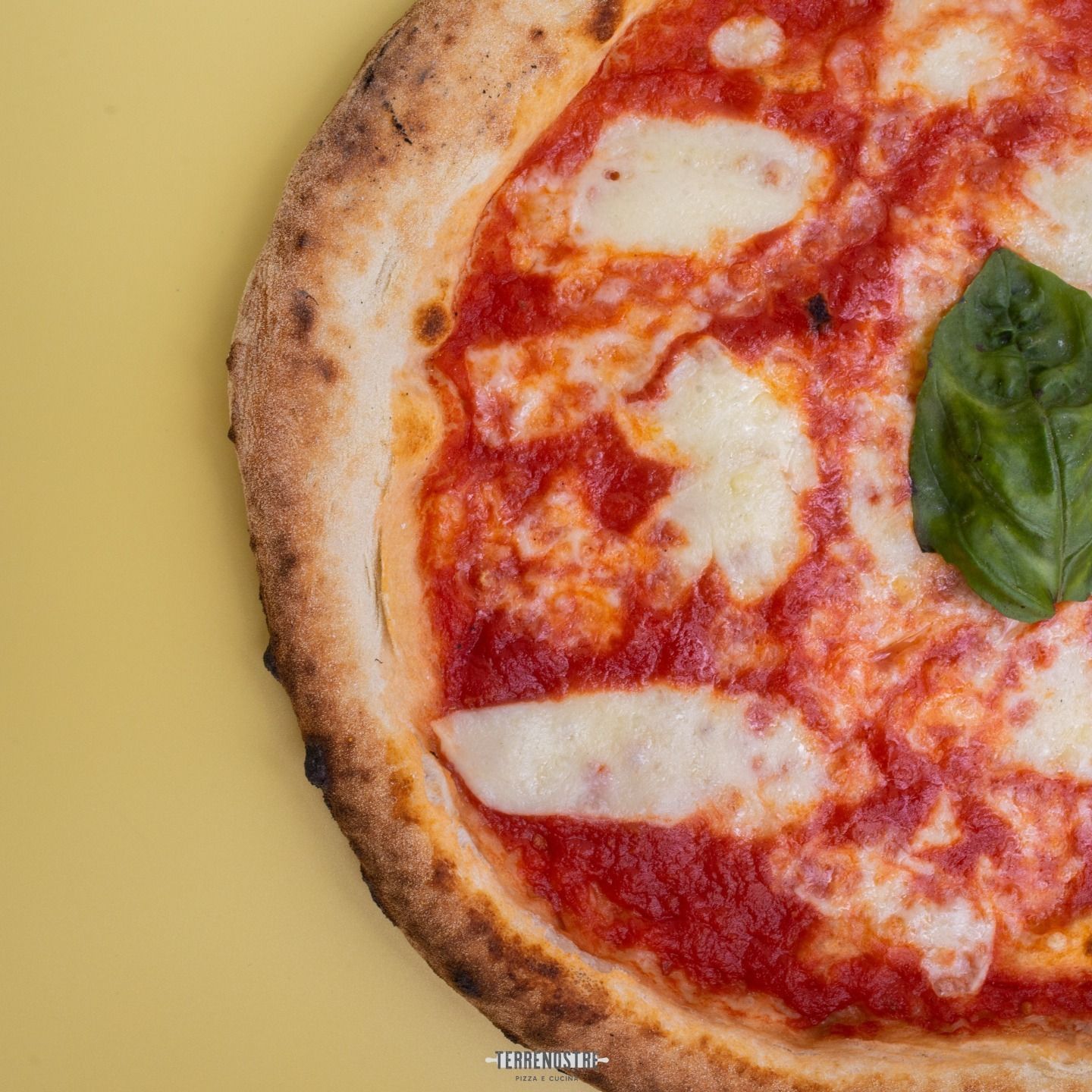 pizza margherita