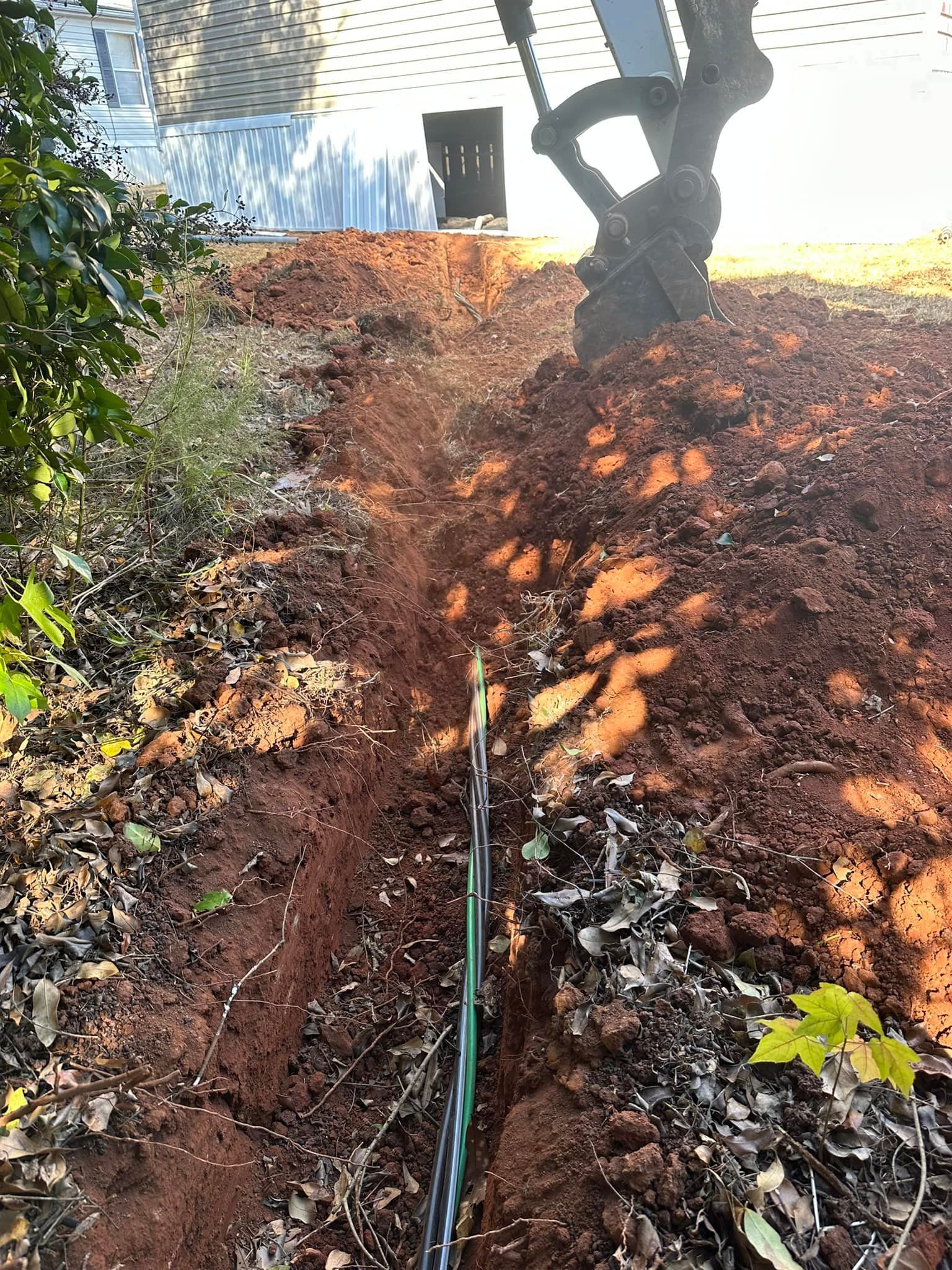 A person is digging a hole in the ground next to a tree.