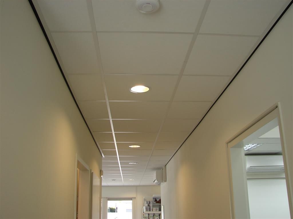 Nieuwbouw Dierenartsenpraktijk De Wurft in Sommelsdijk