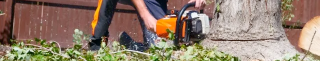 Person using an orange chainsaw to cut a tree trunk outdoors. Sawdust and greenery surround the base.