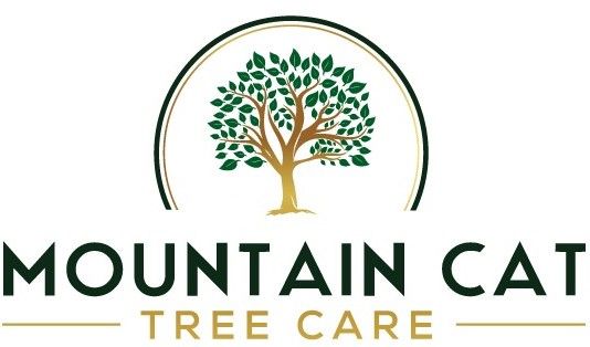 Logo for Mountain Cat Tree Care: a tree with green leaves in a gold-bordered circle above the company name in green text.
