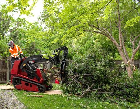 Man operating a red skid steer with a tree branch grapple, trimming a tree in a yard.