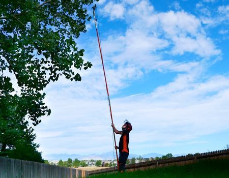 Person pruning a tree with a long pole saw, wearing safety gear. Blue sky, green grass, wooden fence.