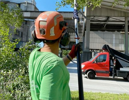 Arborist trimming branches. Wearing protective gear, green shirt, using pole saw near red truck.