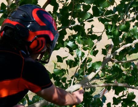 Arborist in a black and orange helmet cutting a tree branch with a saw.