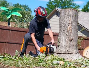 Man wearing safety gear using a chainsaw to cut a tree stump in a yard.