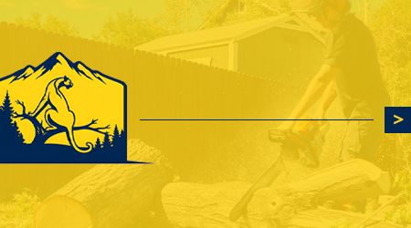 A man is cutting a tree with a chainsaw.